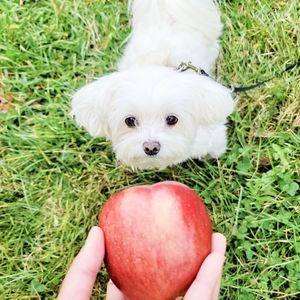 Meet your Posher, Stacy aila